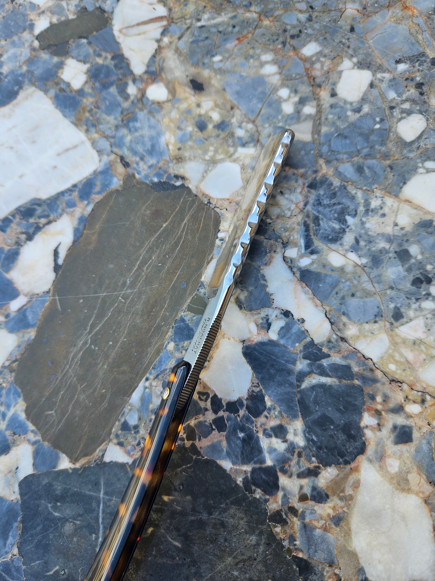 Vintage French Straight Razor — R. Noalhat Thiers | Cambrinus Blade | Tortoiseshell Handle