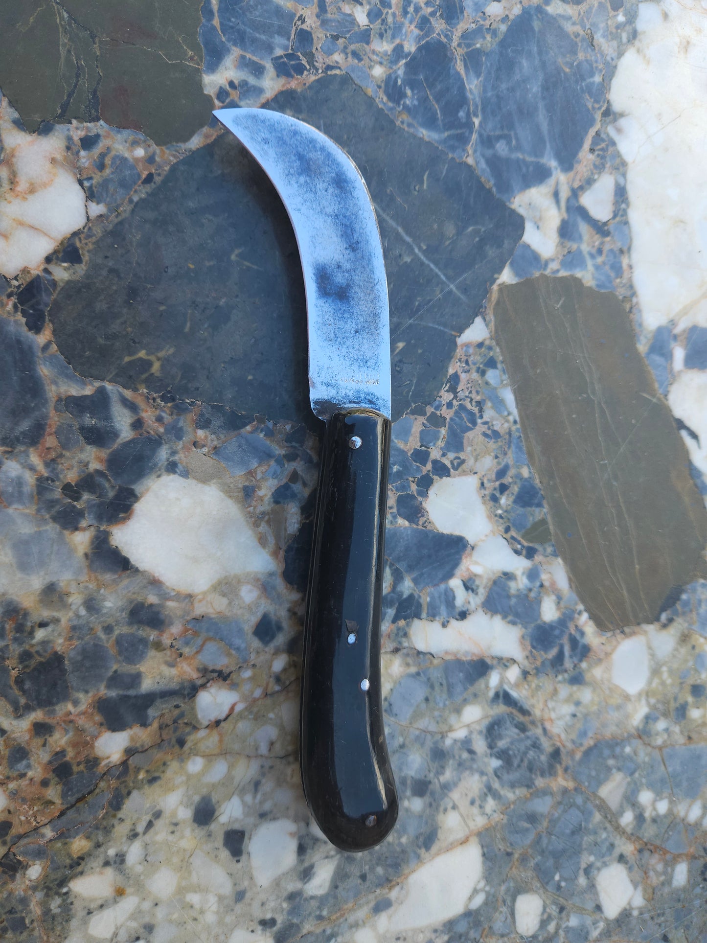 Vintage French Serpette Folding Knife — 32 Dumas | Buffalo Horn | Thiers, France